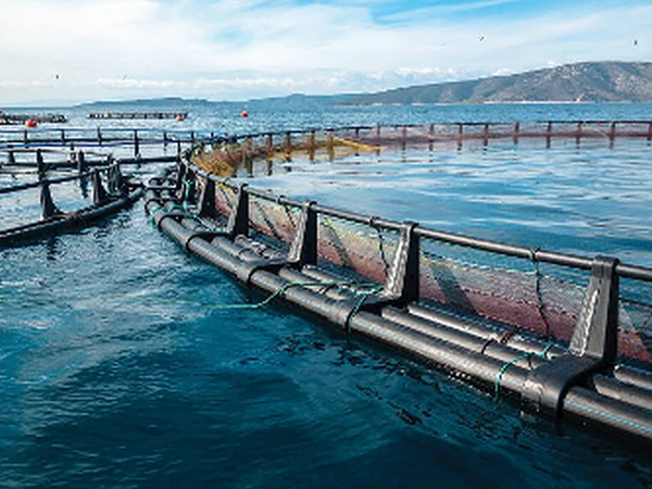 Aquaculture Operations nets