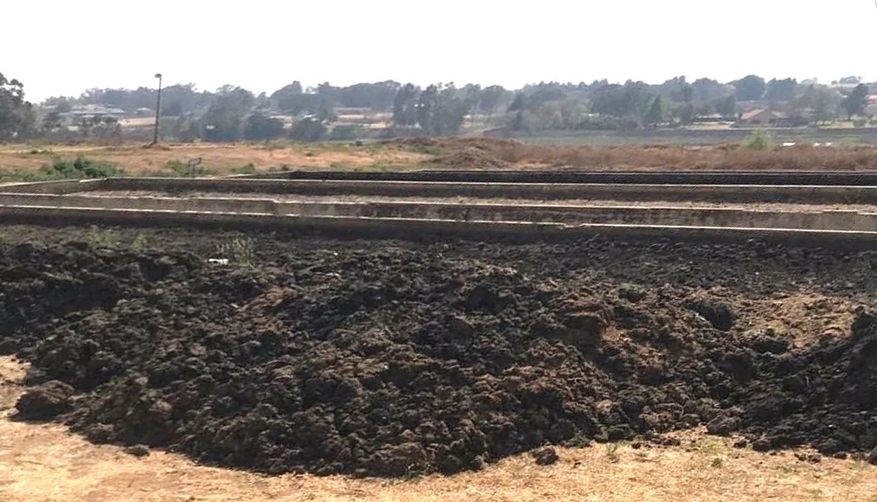 Clean-flo Anaerobic sludge digestion area