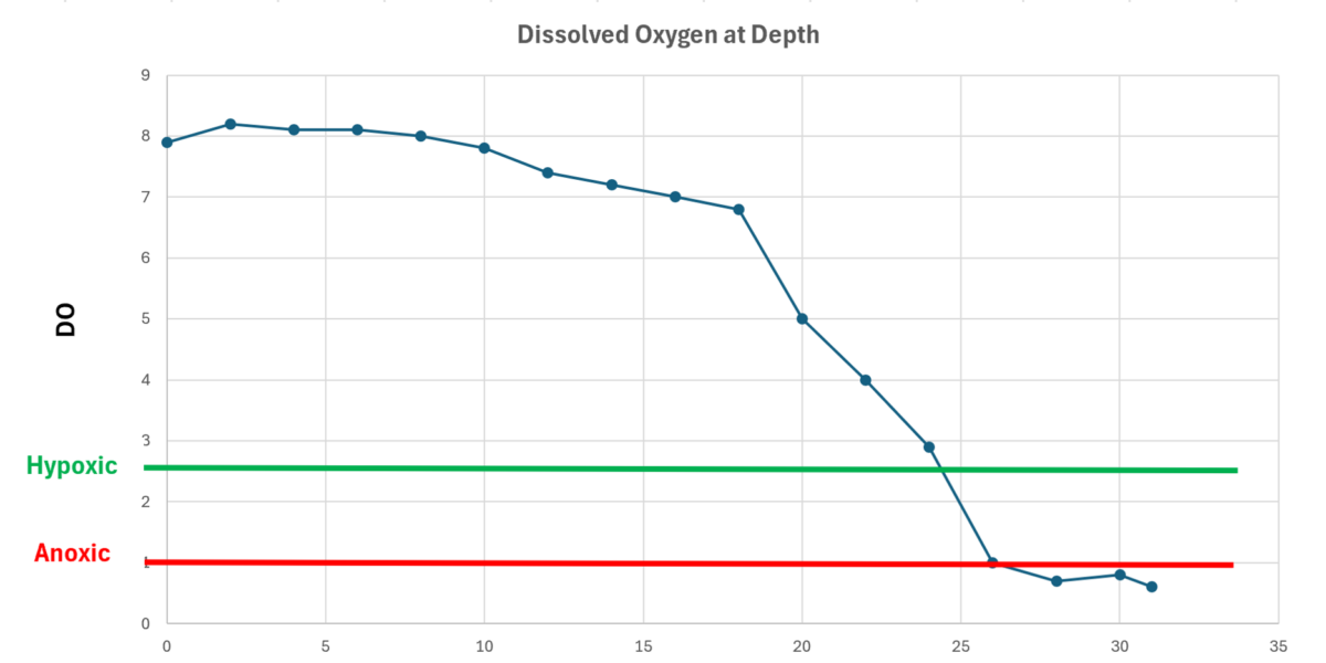 Clean-flo Hypoxia Dissolved Oxyen at depth