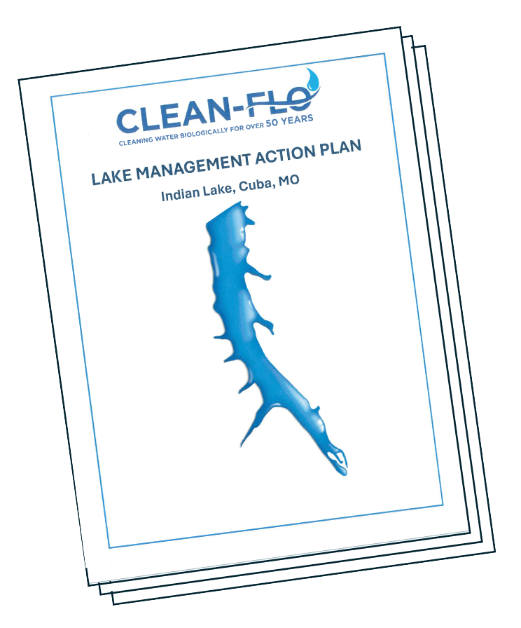 lake management action plan cover