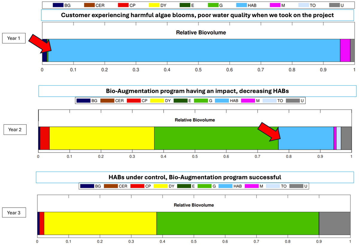 phycological chart over 3 years