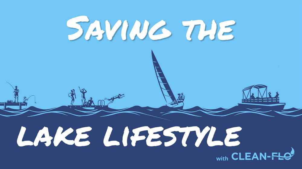 Saving the Lake Lifestyle header