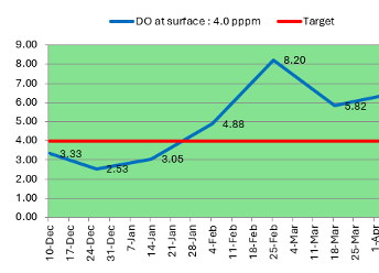 Toa Vaca Dissolved Oxygen at Surface