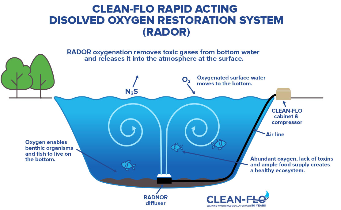 Diagram of RADOR water treatment