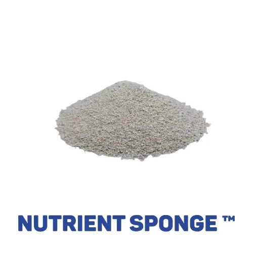 nutrient sponge crystals