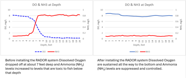 do and nh3 at depth chart 1 DO & NH3 at Depth Charts