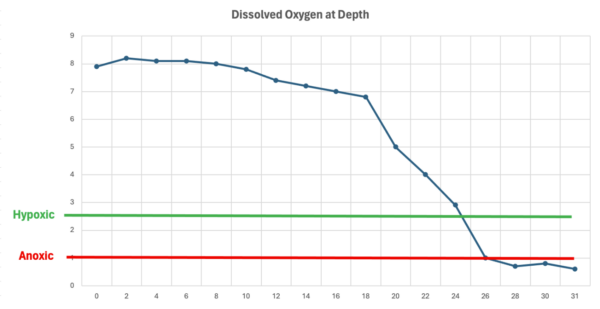 dissolved oxygen at depth chart 1