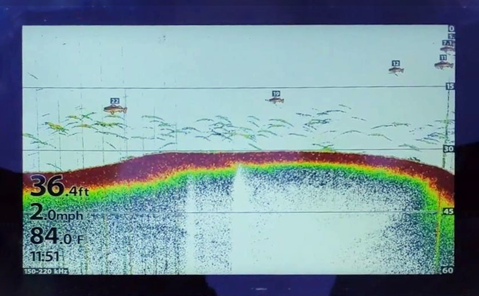 Monitoring bio-dredging progress—tracking sediment reduction and water restoration effectiveness.
