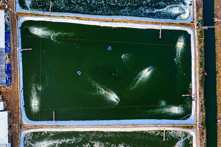 continuous aquatic habitat management