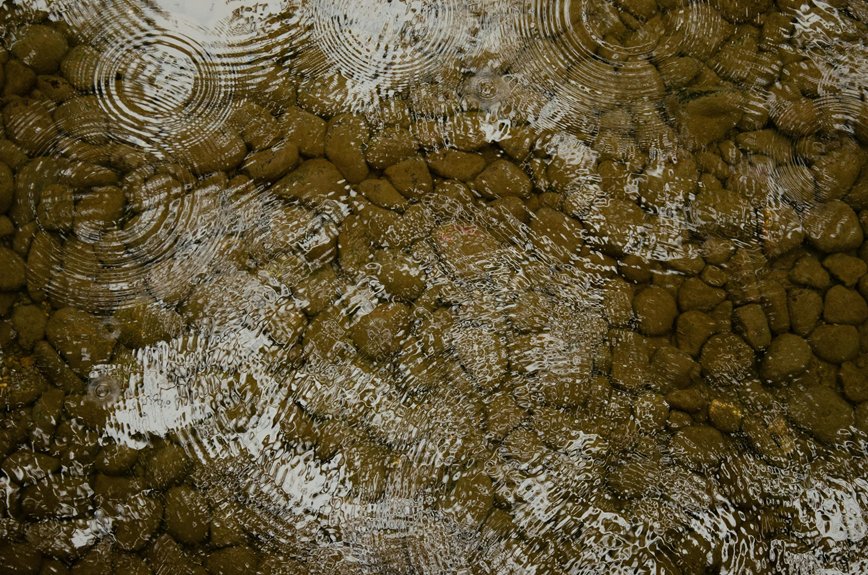 sediment reduces water clarity