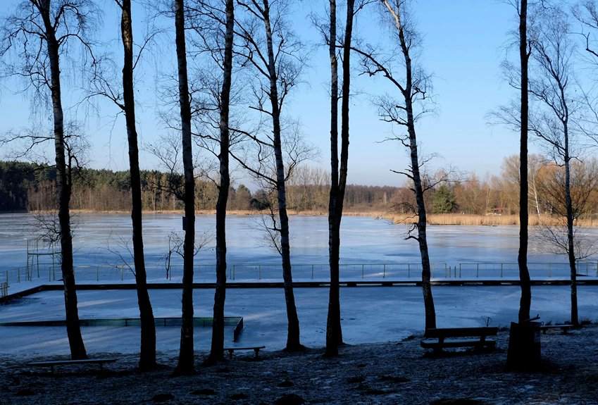 restore hoa lake naturally