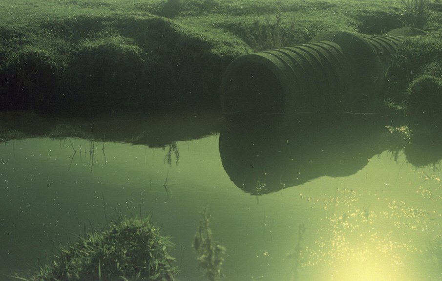 agricultural runoff impacts water quality