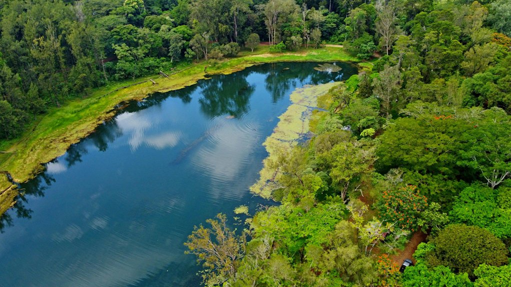 dissolved oxygen impacts ecosystem