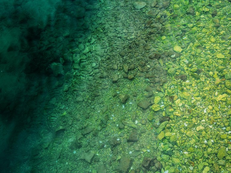lake water clarity issues