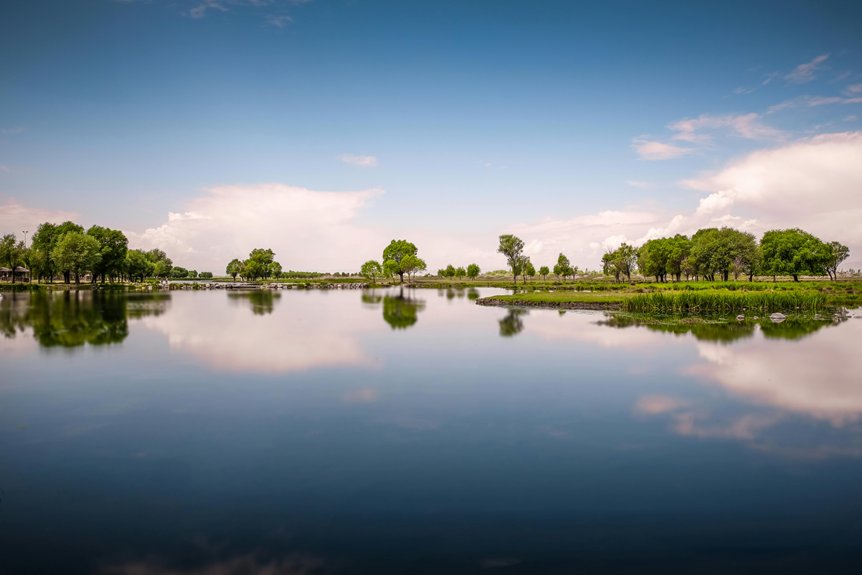 natural lake restoration methods