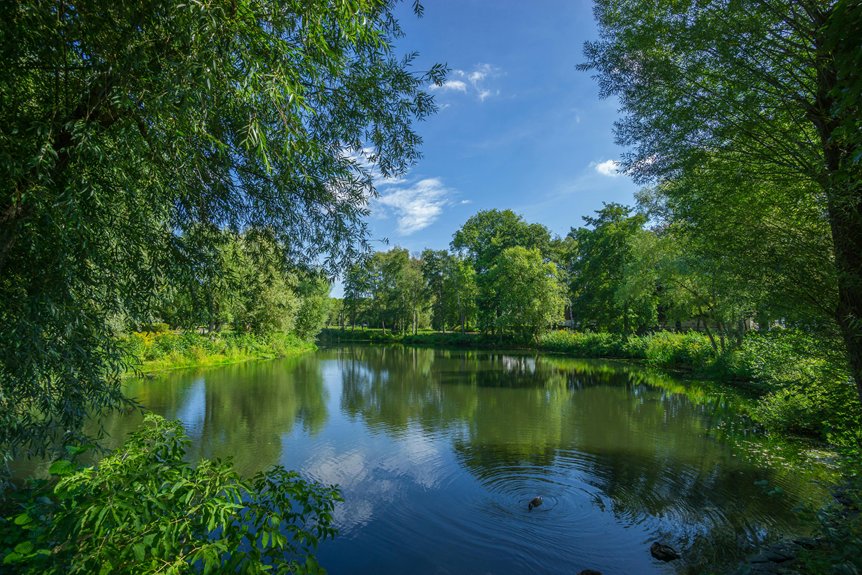 restoring lake ecosystem oxygen