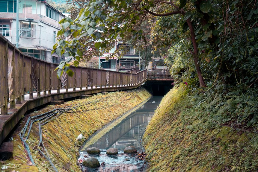stormwater runoff harms ecosystems