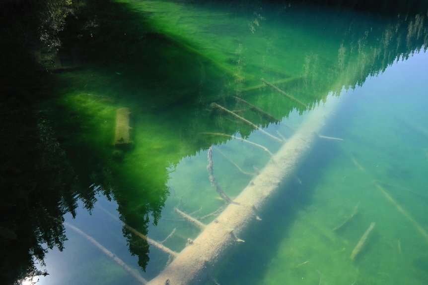 water clarity decline causes
