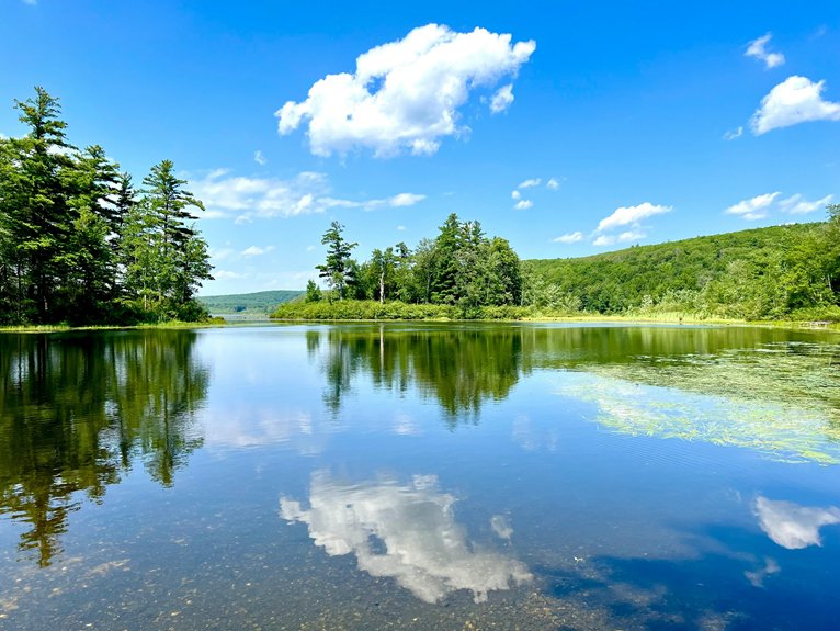 water quality impacts ecosystem