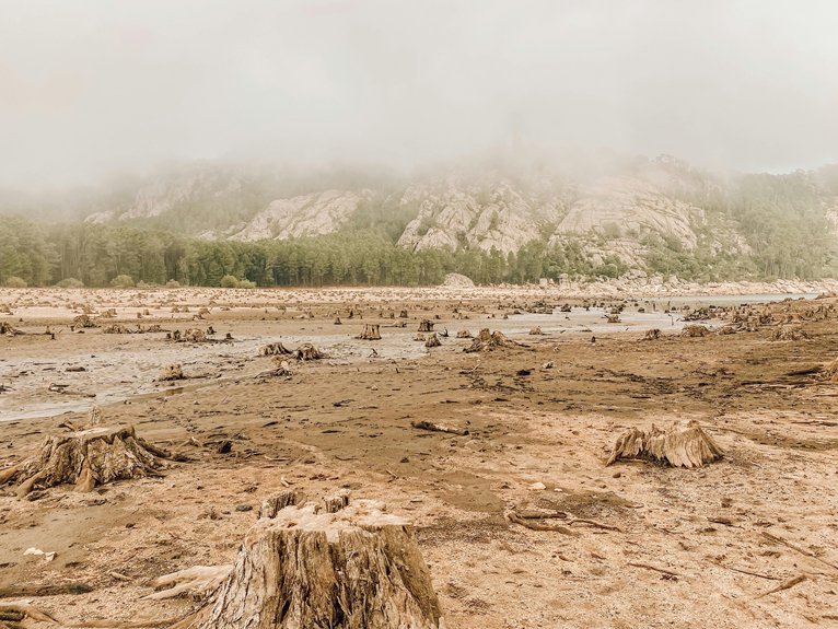 early lake degradation indicators