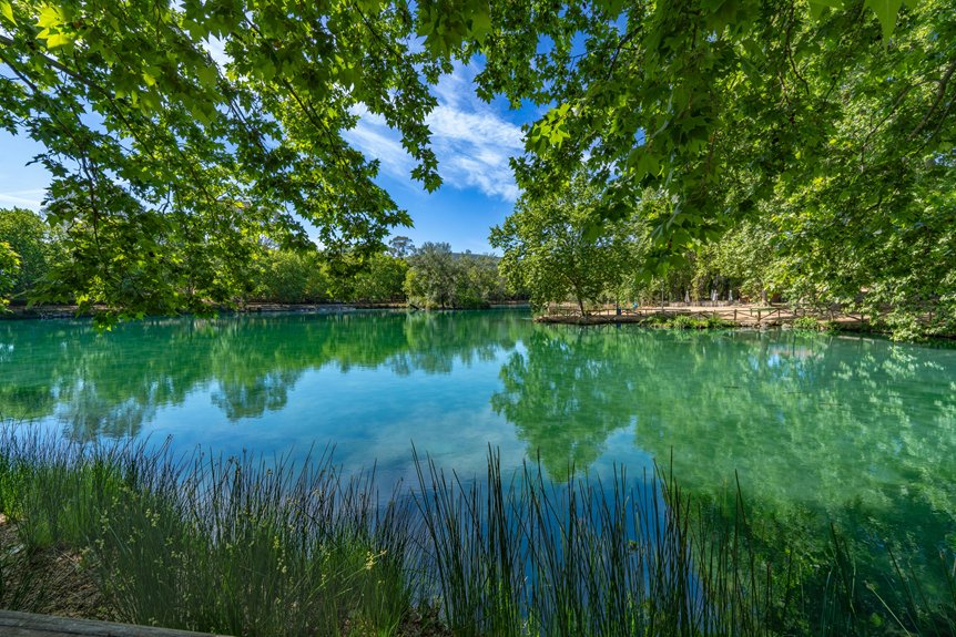 oxygen crucial for aquatic life