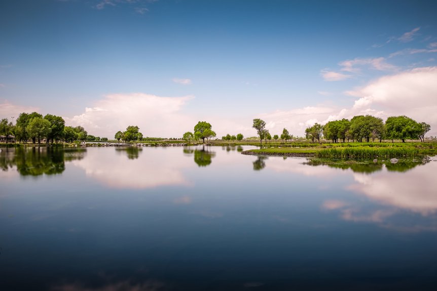 reducing nutrients restores lakes