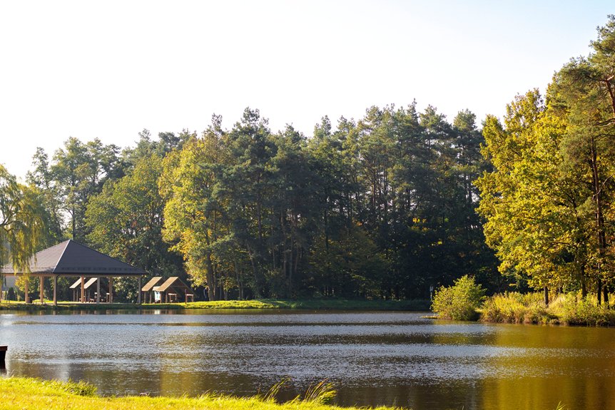 algae bloom causes greening