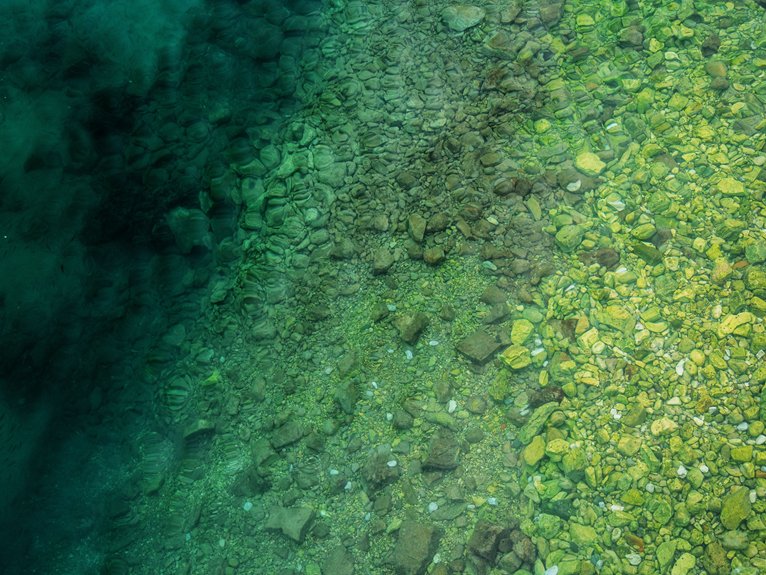 enhance lake water transparency
