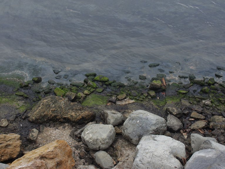 lake cleanup and improvement
