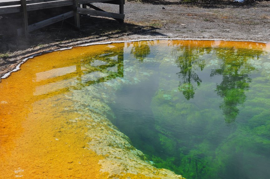 managing cyanobacteria in lakes